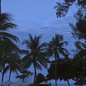 日韩私拍高清无码
